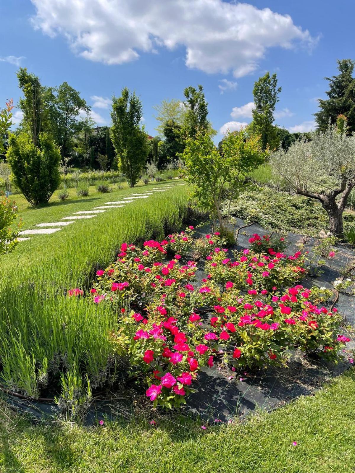 Relais Ca' Morenica Valeggio sul Mincio Kültér fotó